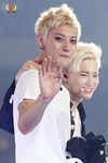 HelloTao.jpg
