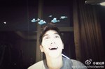 siwonbluebird.jpg